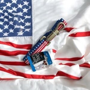 Patriotic American Flag 4’ Dog Leash